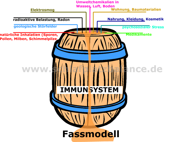 Grafik Fassmodell